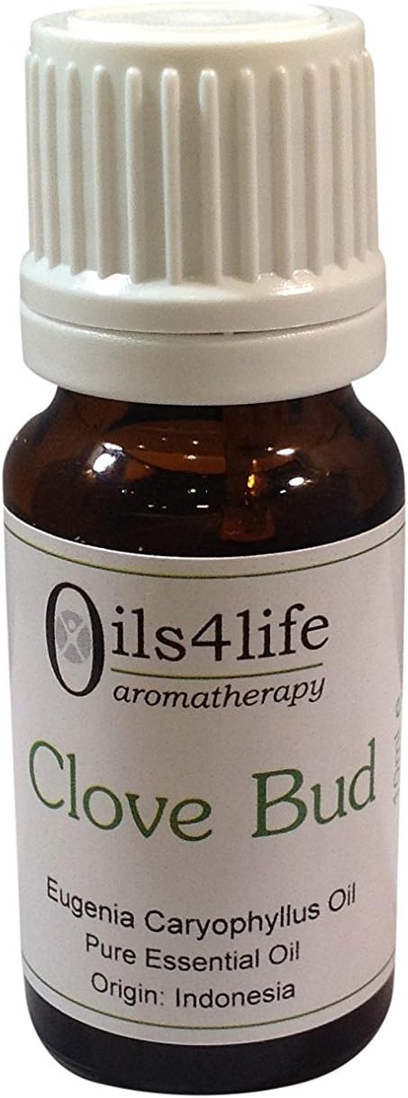 Clove Bud essential oil (oil of the clove) - Eugenia caryaphyllata, 10ml