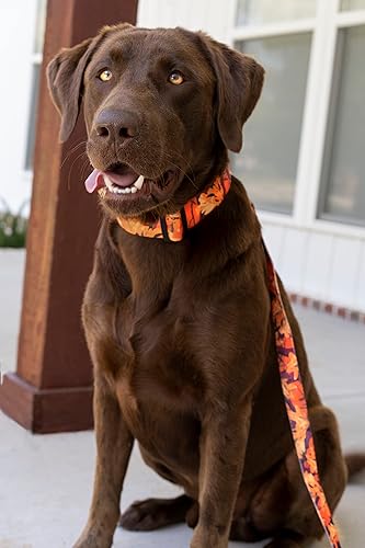 Miniatura 3 de Country Brook Petz - Collar de perro de camuflaje naranja Sunset Deluxe - Colección militar y camuflaje con 9 diseños resistentes (1 12 pulgada,