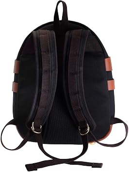 Billingham 25 Rucksack for Cameras (Black Canvas / Tan Leather)