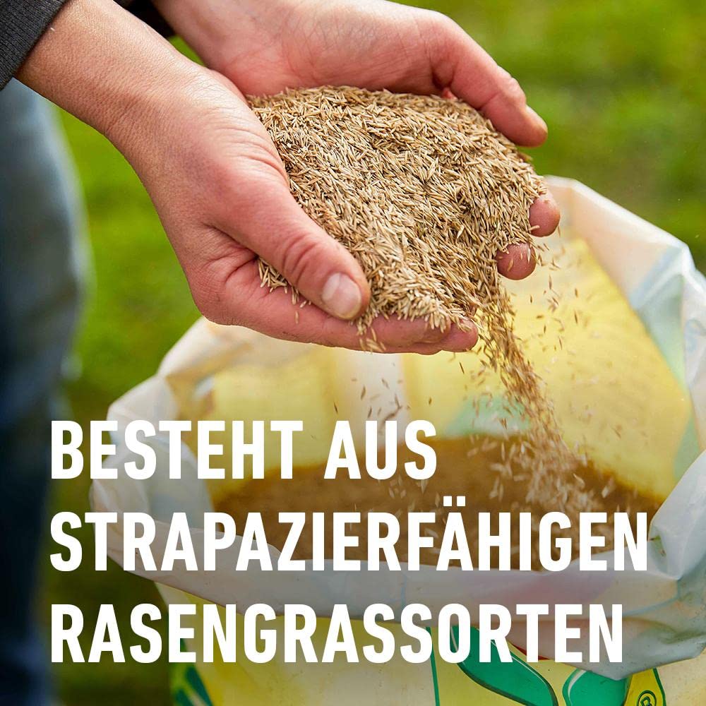 Compo Rasensaat Spiel und Sport, Universelle Rasenmischung, 8 kg, 400 m²