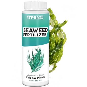 Seaweed Fertilizer Organic Kelp Plant Food for All Plants, Boosts Nutrient Uptake for a Lush, Vibrant Garden, 8 oz