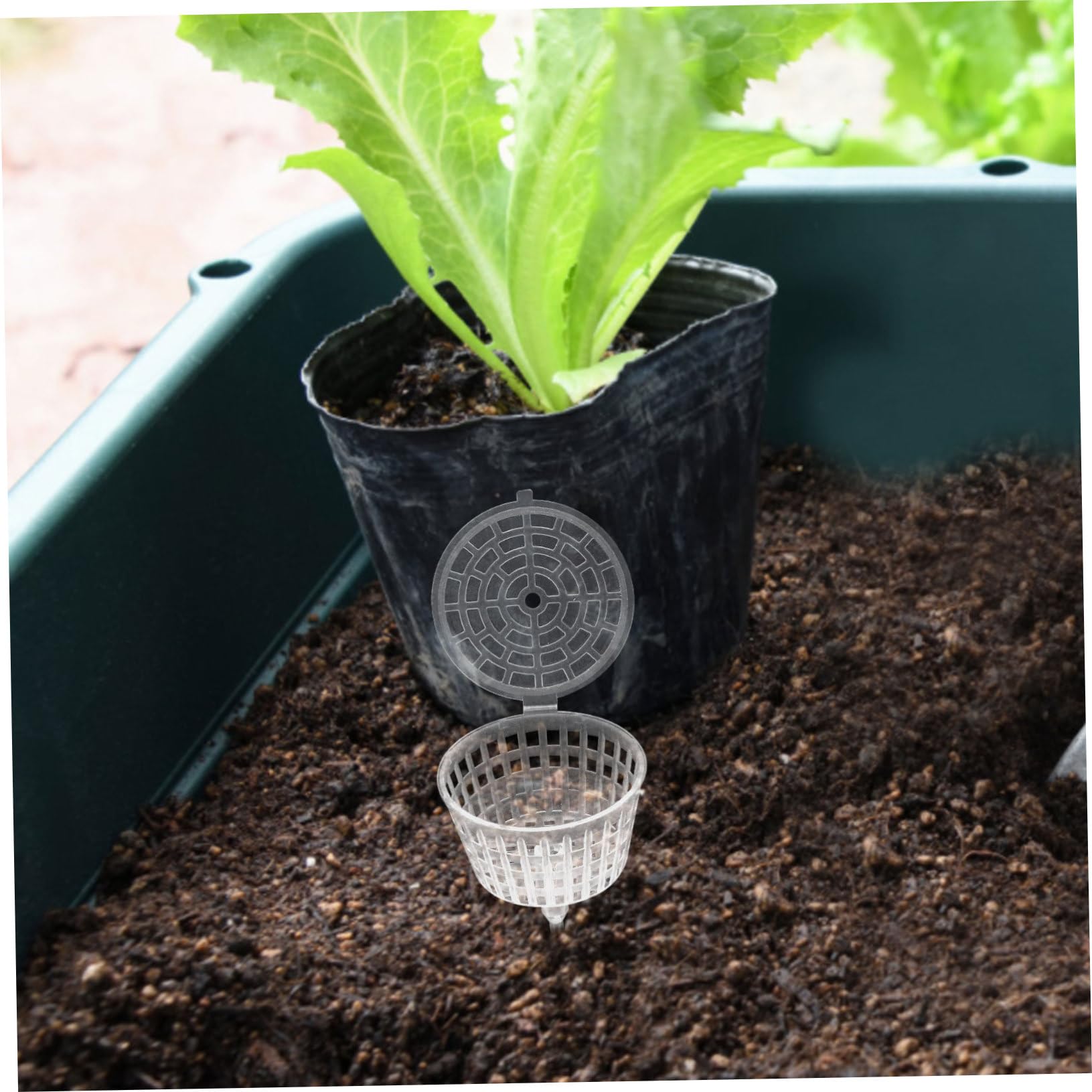 UPKOCH Boîte D'engrais pour Bonsaï en Plastique Blanc, 15 Pièces | Réutilisable, pour Plantation et Bonsaï, Protège L'engrais des Oiseaux et Petits Animaux, Limite le Surdosage