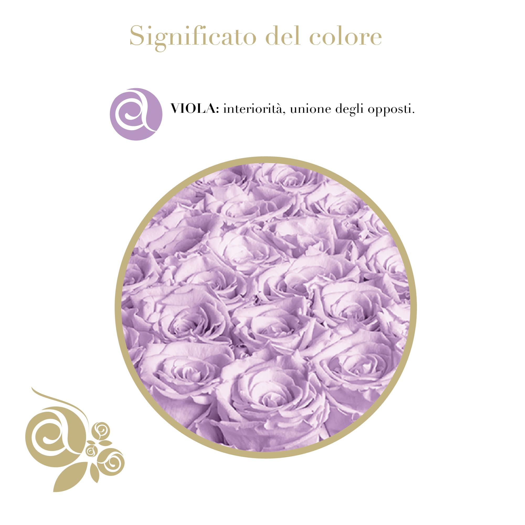Aluisi Fiori Rosa Stabilizzata Viola in Cofanetto Nero - Rosa Stabilizzata Vera - Rosa Eterna - Fiore Stabilizzato - Fiori Stabilizzati - Simbolo di Interiorità e Unione degli Opposti - Idea Regalo