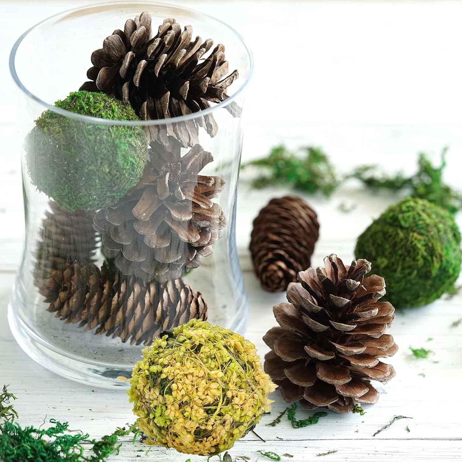 Byher Natural Preserved Moss Hanging Ball Vase Bowl Filler for Garden, Wedding, Party Decoration (3.5"(6 Pack), Pink) : Home & Kitchen