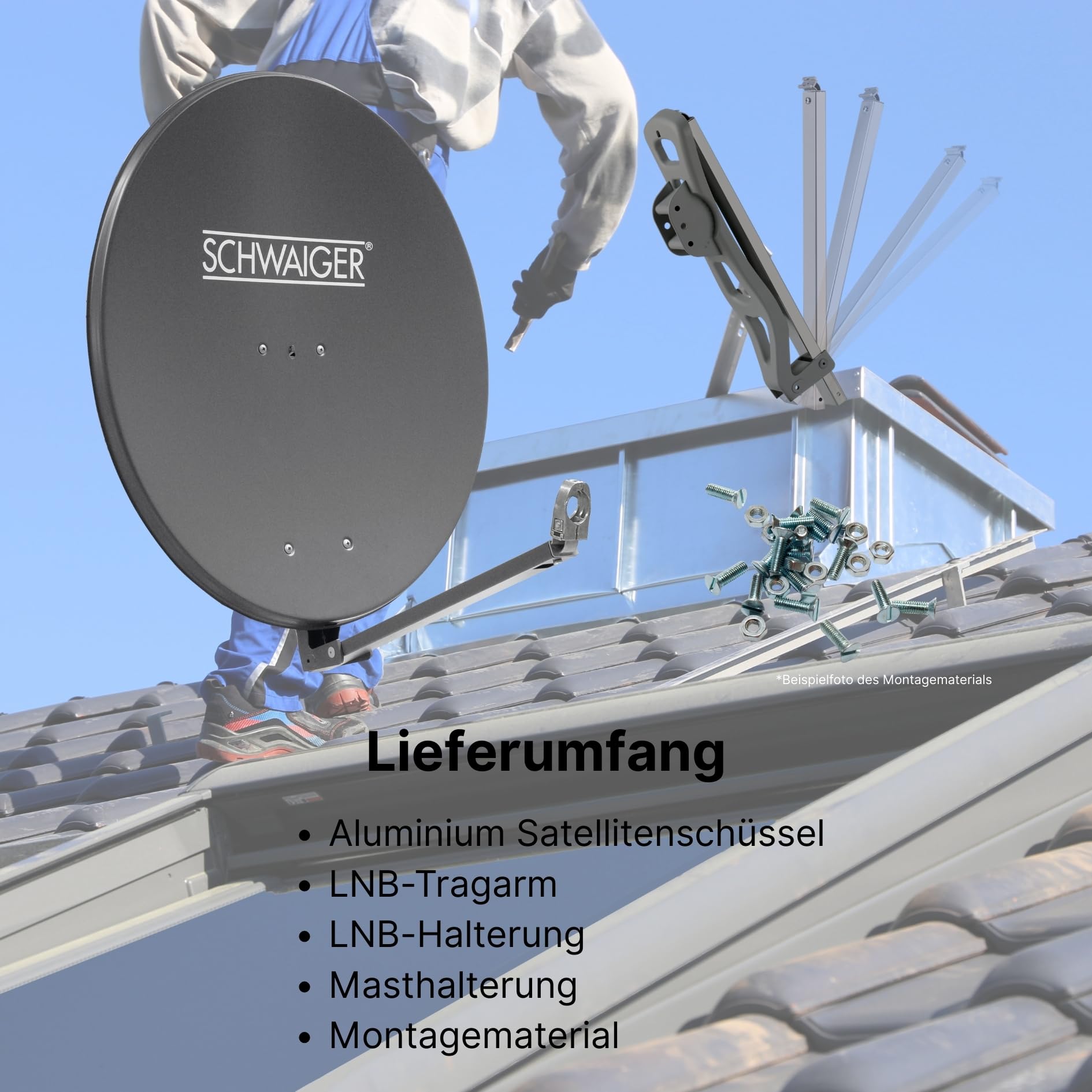 SCHWAIGER 258 Antena Sat de Aluminio Offset LNB Brazo Soporte mástil Sistema 88 x 88 cm Antracita