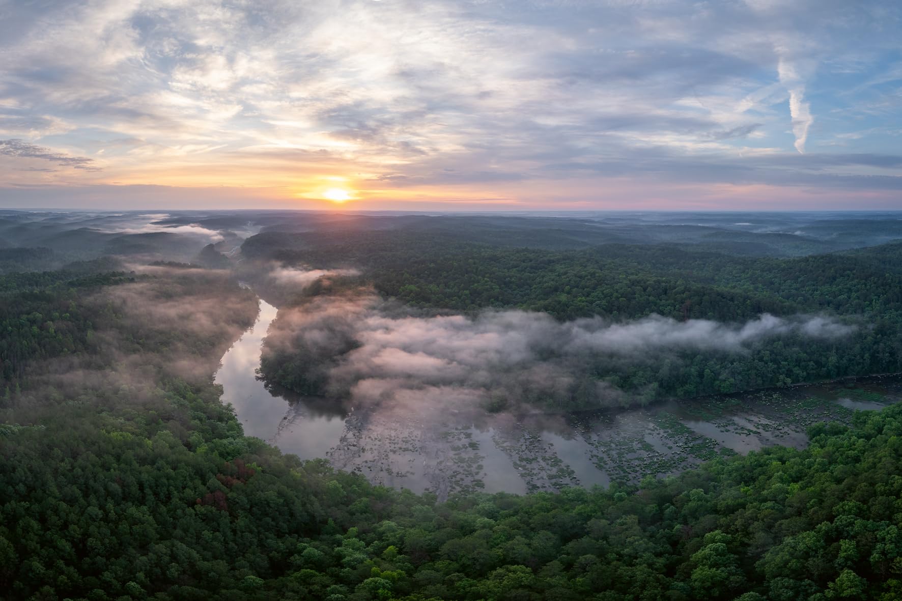 American Amazon: Ancient Forests and Living Waters of the Wild Southeastern US