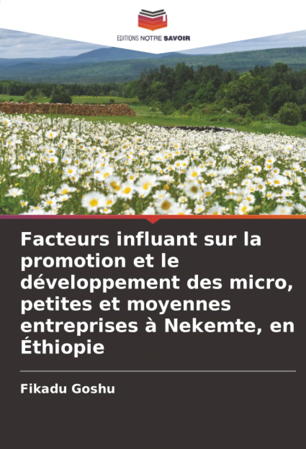 Facteurs influant sur la promotion et le développement des micro, petites et moyennes entreprises à Nekemte, en Éthiopie