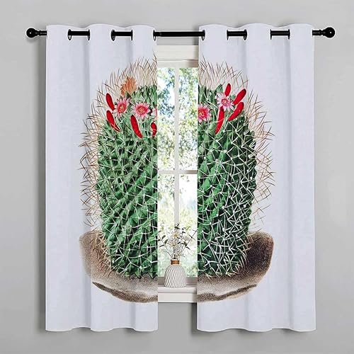 Miniatura 2 de Cortinas para Habitacion Cactus and Flwer Grommet Short Door Curtains for Doorways Blackout Grommet Curtains 55Inch Width by 55Inch Length,2 Panels