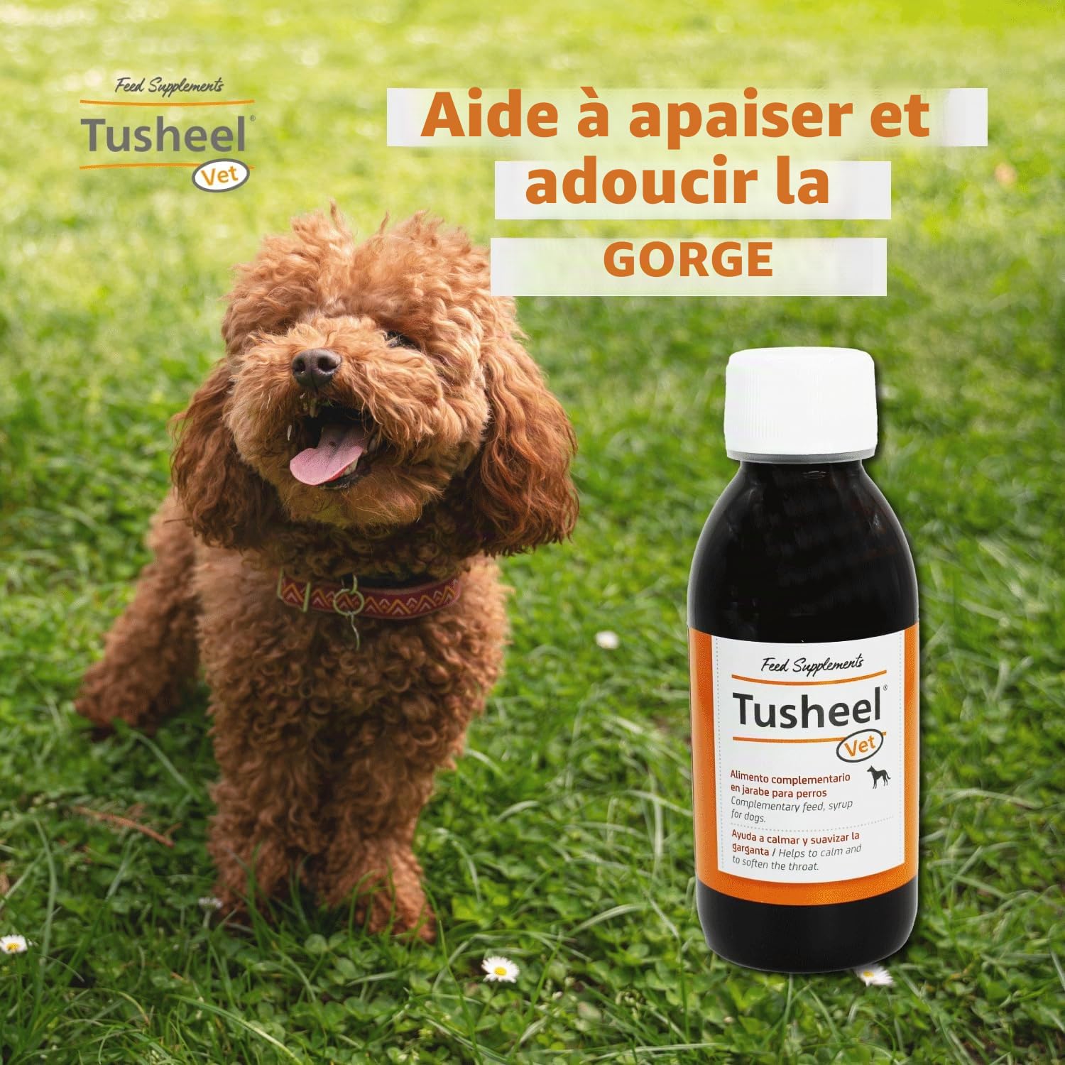 Heel TusHeel Vet Sirop pour Chiens et Chats Qui apaise et adoucit la toux - Composition complète avec ingrédients naturels pour Tous Types de toux - Saveur Poulet au Miel - 150 ML