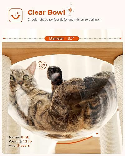 Miniatura 3 de MUTTROS Árbol de madera para gatos, torre moderna para gatos de 50 pulgadas con condominio de 2 pisos, postes rascadores de sisal para muebles de