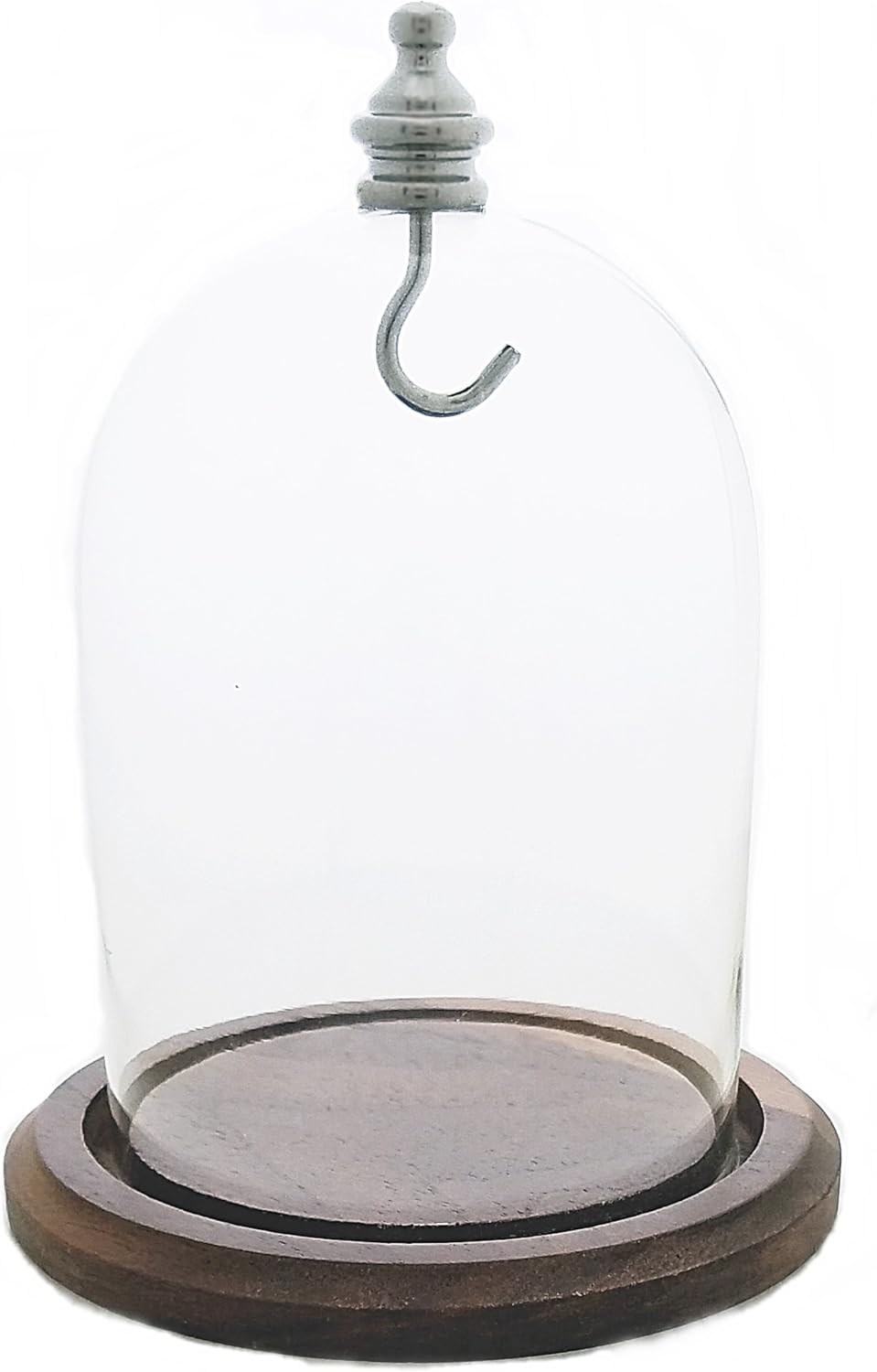 3"x4" Pocket Watch Glass Display Dome Cloche with Real Walnut wood Base & Silver hook