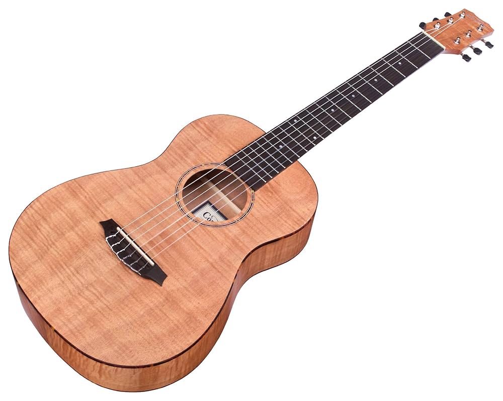 ギター Cordoba Mini ll FMH Cordoba Mini II FMH : Amazon.in: Musical Instruments