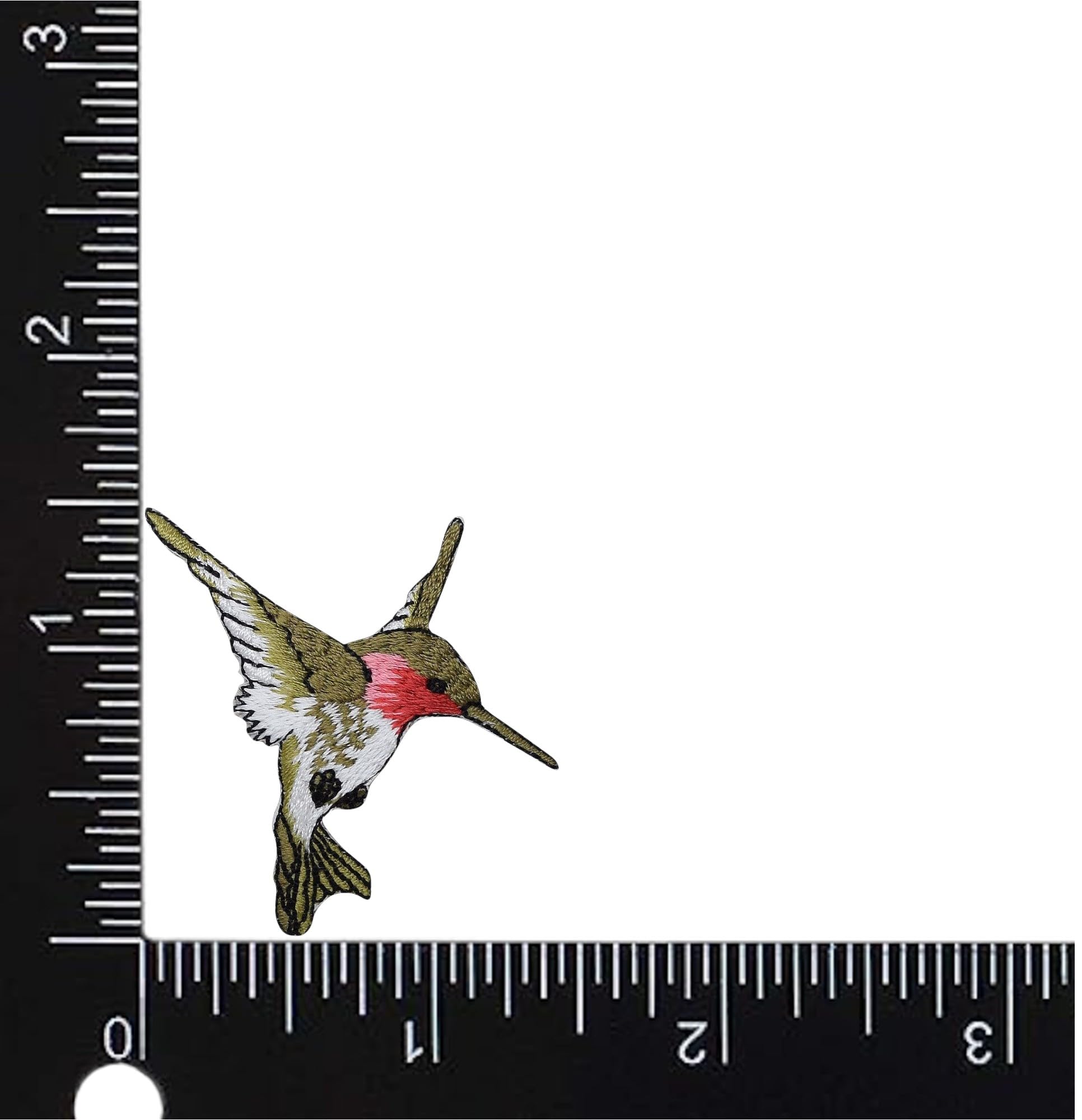 Amazon.co.jp: ハチドリ 刺繍 アイロンワッペン (ハミングバード12