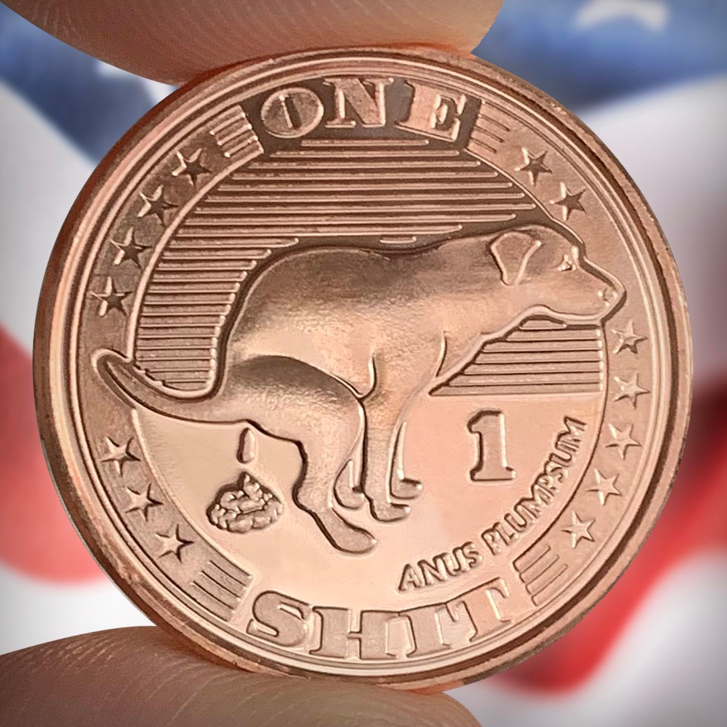 ZFG Inc. Zero F's Given Giftable Novelty Quarter Coins, Give One Sh*t, 10-Pack