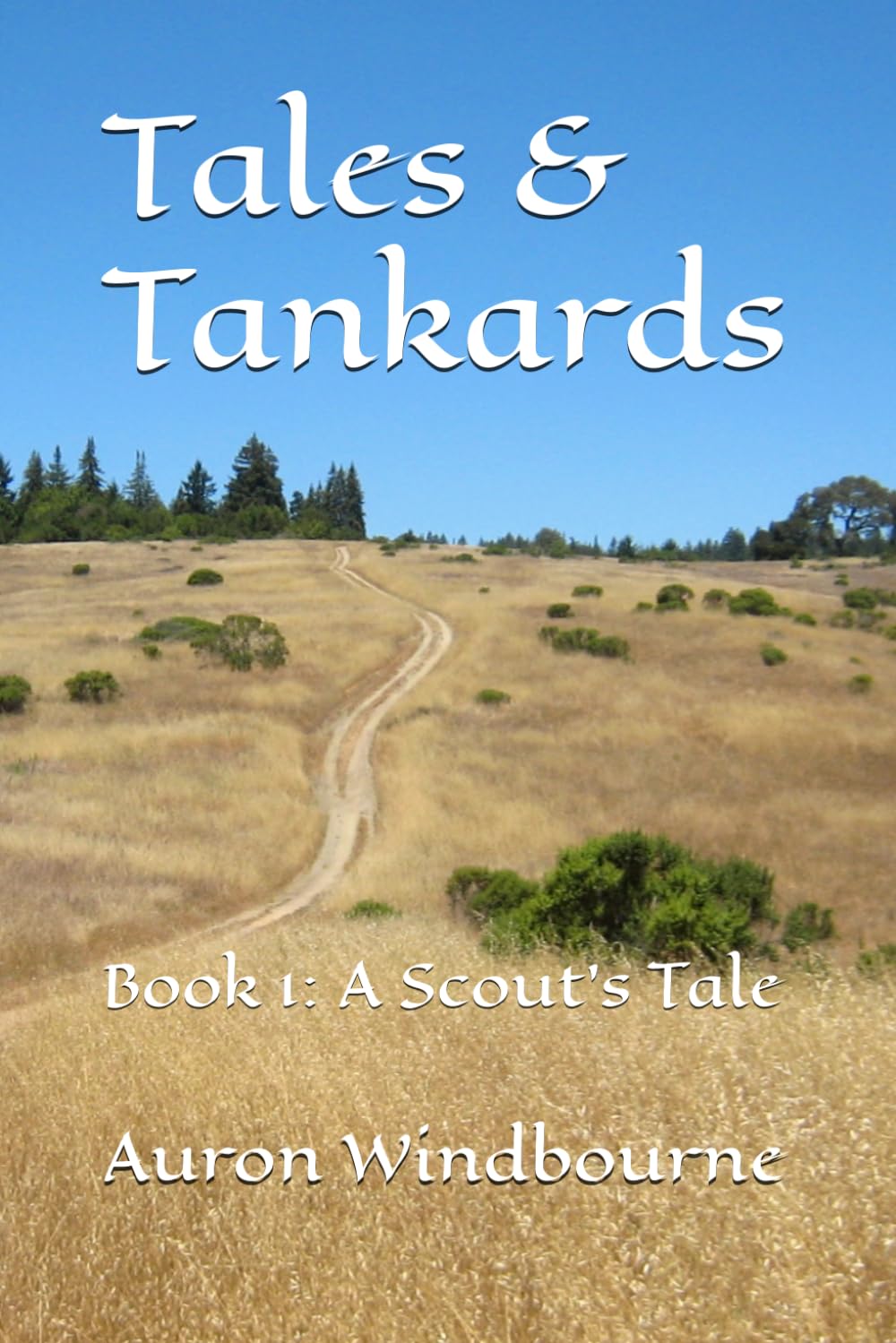 Tales & Tankards: Book 1: A Scout's Tale