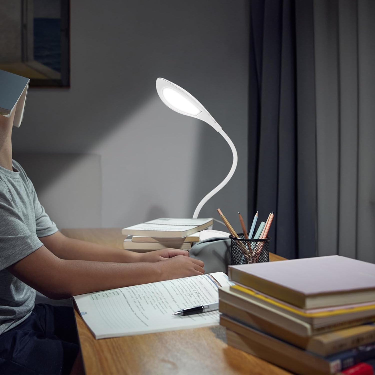 LED Gooseneck Desk Lamp, Office Desktop Lamp 3 Dimming Level, Touch Control, Battery Charging Table Adjustable Study Desk, Reading Light