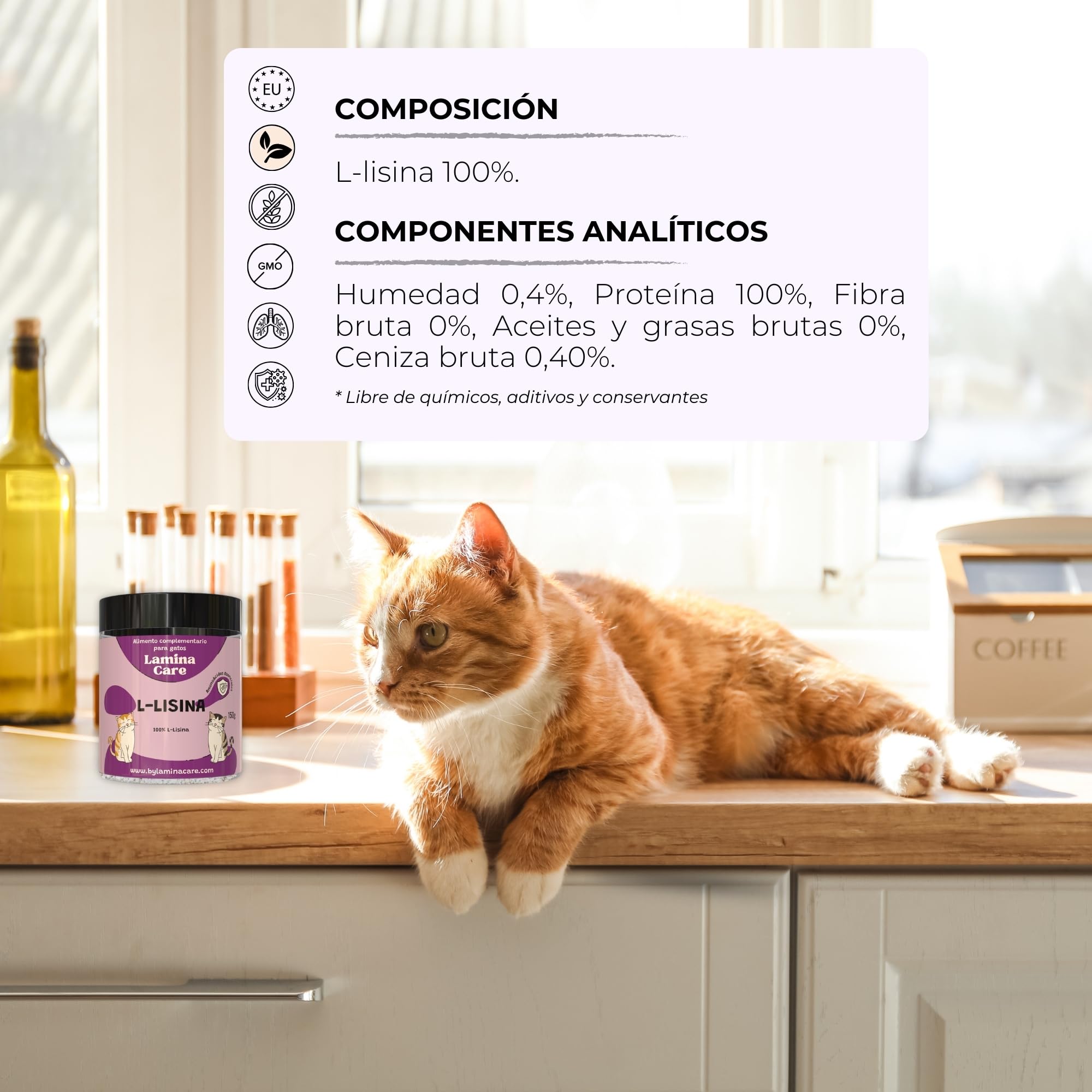 Lisina Gatos con Aminoácidos Esenciales para Reforzar el Sistema Inmunitario, Apoyar Las Vías Respiratorias y Prevenir el Herpes Felino, Suplemento Natural para Todas Las Razas y Edades