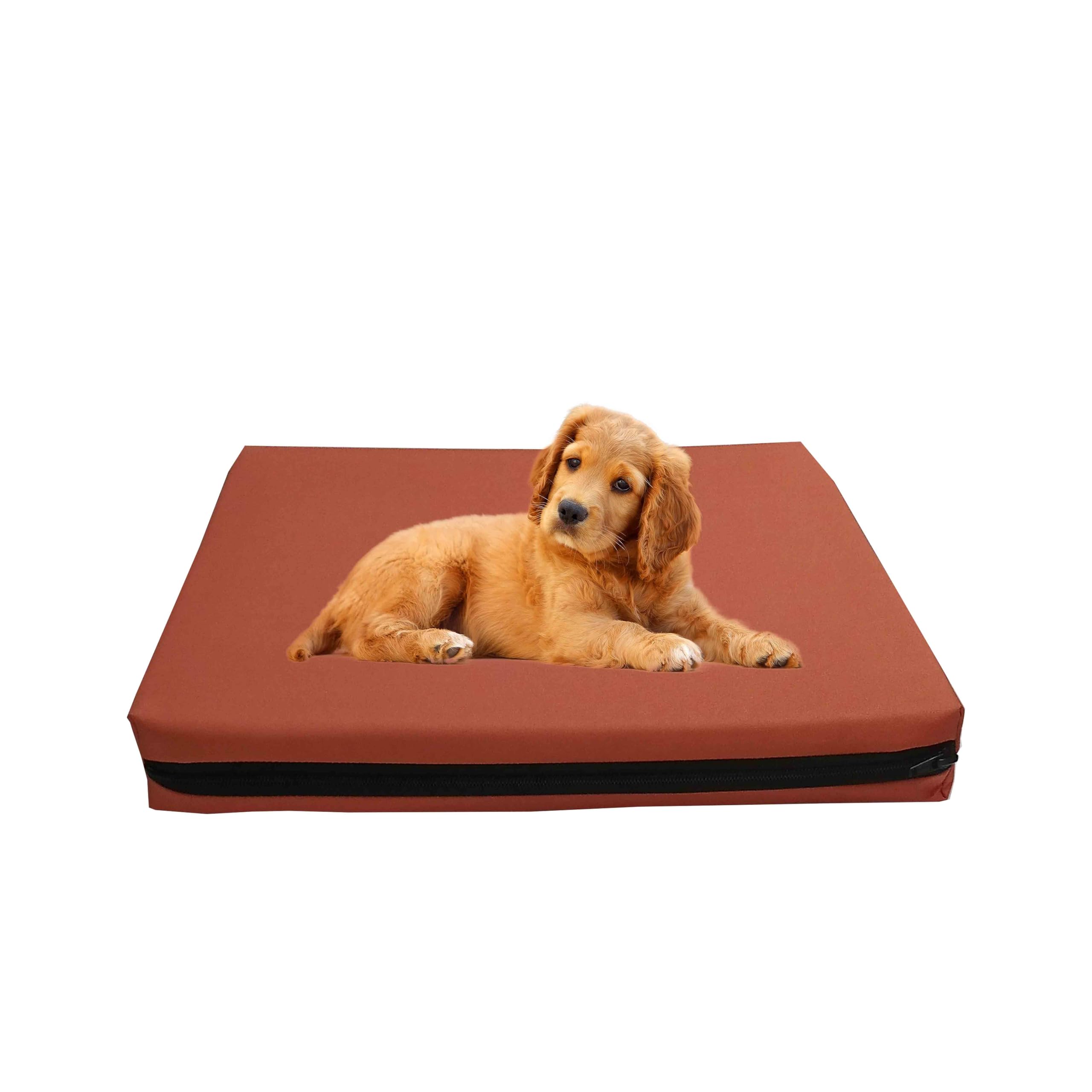 GRIZZLY FOAM Waterproof Dog Bed Cushion and Mattress for Indoor and Outdoor Use with Washable & Removable Zipped Cover and Custom (Orange, 122x78x5cm)