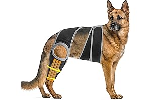 Dog Hip Brace for K9 Dysplasia and Front ACL Hind Leg Tear