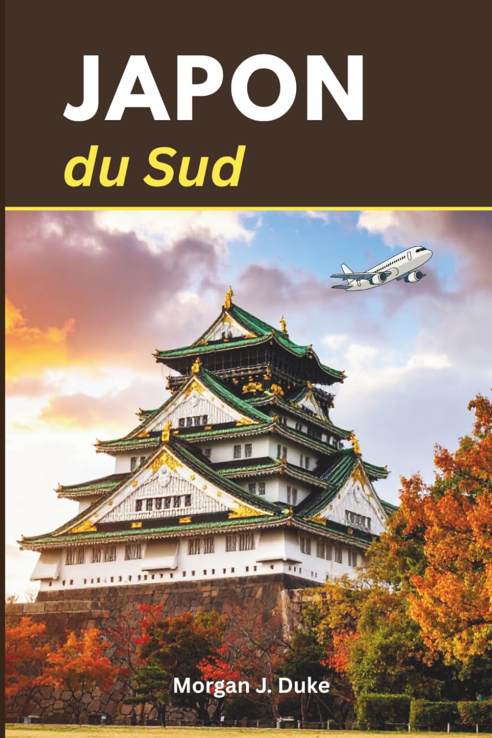 Guide de voyage du sud du Japon: Explorez comme un habitant avec des conseils pratiques, des photos et des itinéraires chaleureux