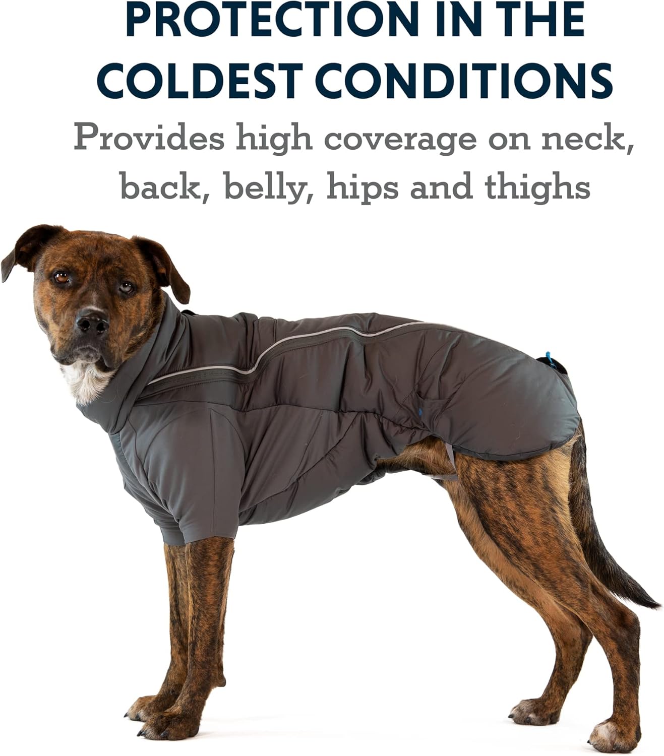 Ruffwear, Furness Dog Jacket, Ultra-Warm Winter Coat with Full Coverage, Stretch Storm Sleeves, Insulated Belly Panel, Harness-Compatible Leash Portal, Reflective Trim, Twilight Gray, X-Large