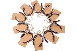OurWarm Bulk 30-Piece Good Luck Horseshoes for Rustic Parties