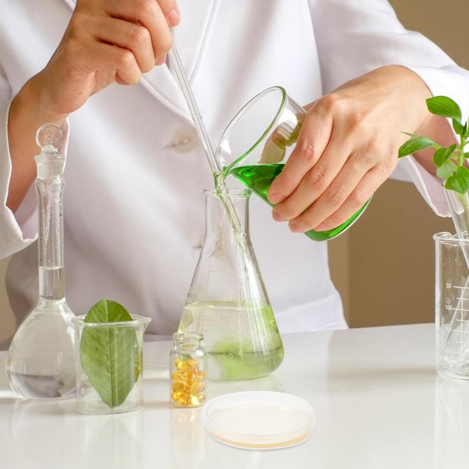 Ipetboom 20 Placas de Agar Petri de Plástico de 9 CM Medio Nutritivo Lb, Estériles para Uso en Investigación Microbiológica y Experimentos Educativos