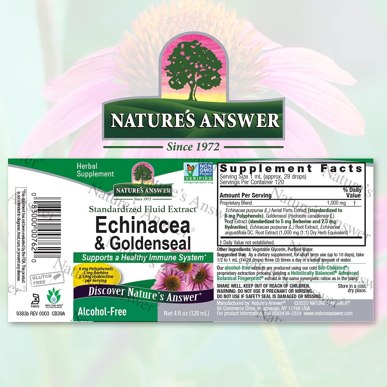 Nature's Answer Enchinacea & Goldenseal | Supports a Healthy Immune System | Super Concentrated Pure Extract | Alcohol-Free, Gluten-Free, Vegan & Kosher Certified 1oz : Health & Household