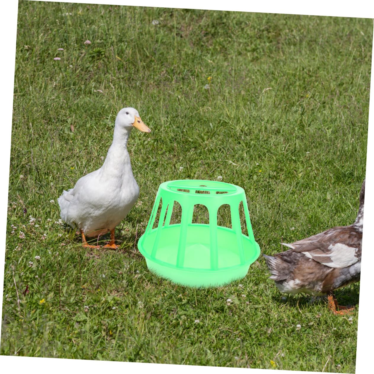 BESPORTBLE Kit Di Mangiatoia Portatile Per Polli 2 Pezzi Cibo Per Pollame Materiale Per Uccelli Acquatici