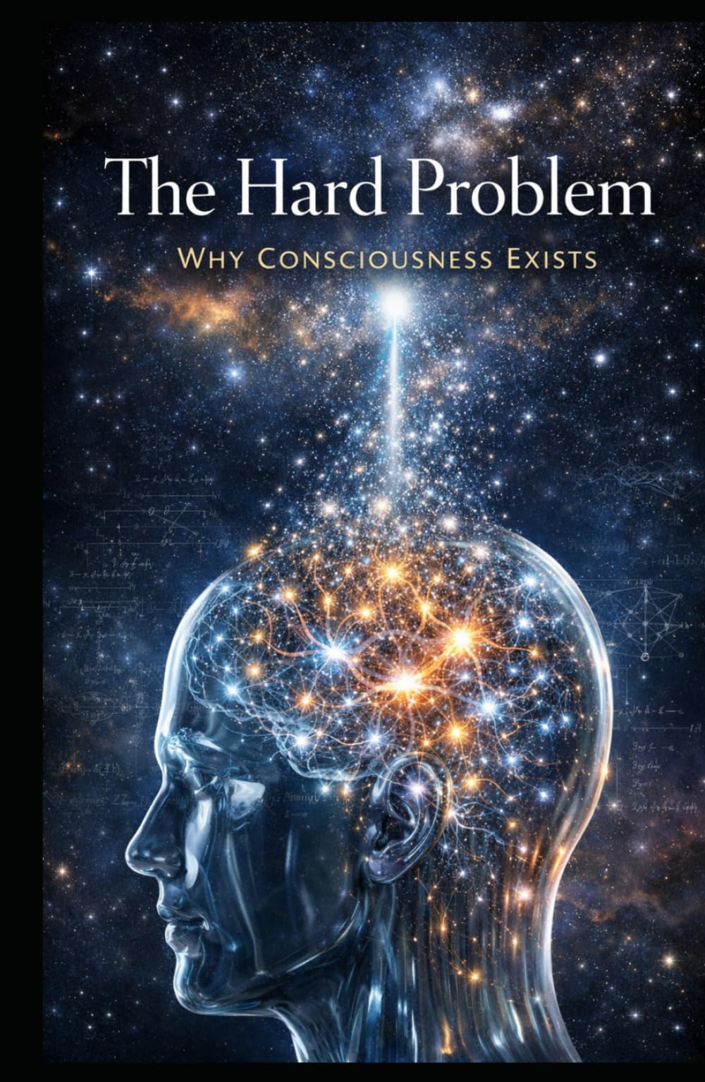 The Hard Problem: Why Consciousness Exists