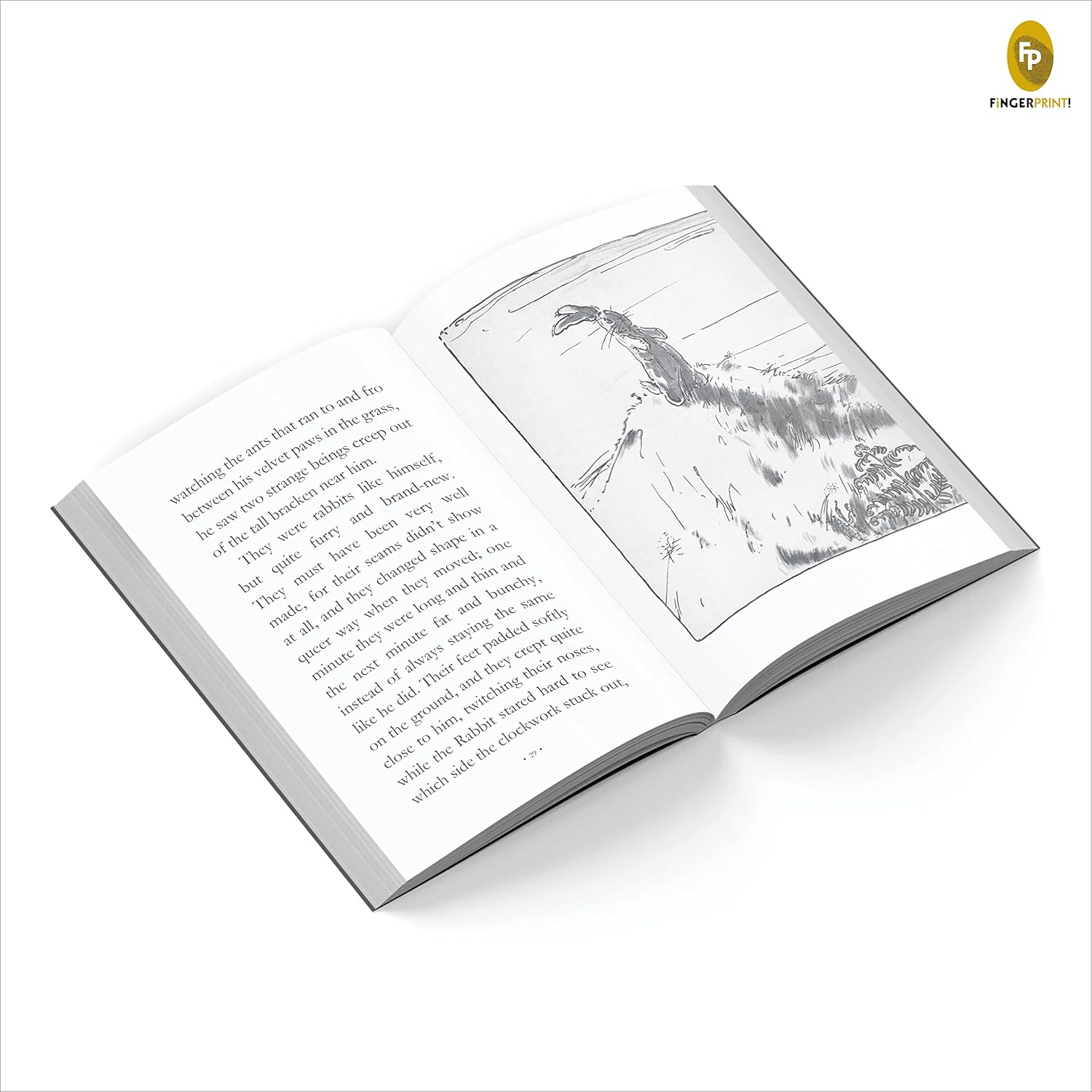 Velveteen Rabbit, The
