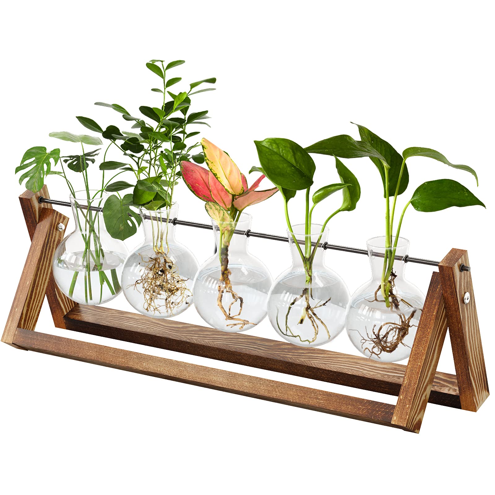 Amazon.com: CFMOUR Plant Terrarium with Wooden Stand, Desktop Propagation  Stations Glass Air Planter Metal Swivel Holder for Indoor Live Hydroponics  Plants Office Home Garden Decor (5 Bulb Vase) : Patio, Lawn &