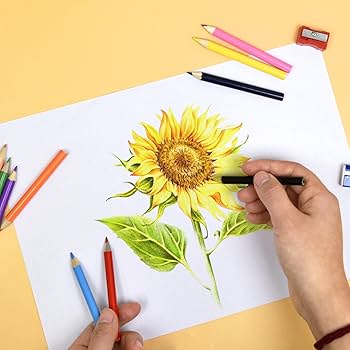 Amazon | jiexiato ショート色鉛筆 小さな手 2-4歳 未就学児