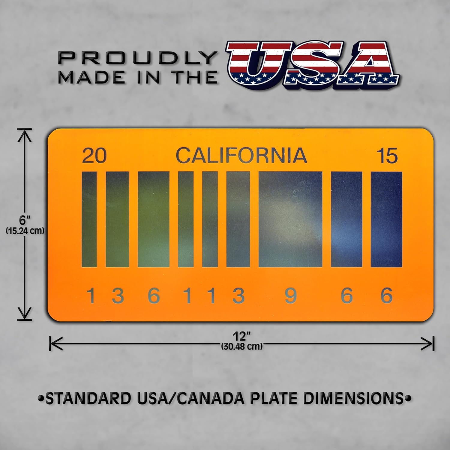 Back to The Future | Outatime + 2015 | Metal License Plates