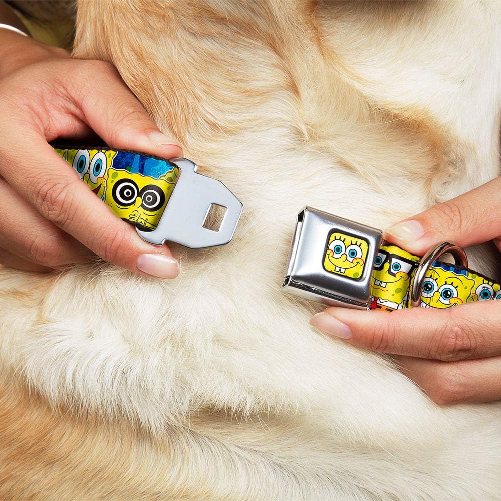 Buckle-Down Seatbelt Buckle Dog Collar - SpongeBob Expressions Stripe Blue - 1.5" Wide - Fits 16-23" Neck - Medium