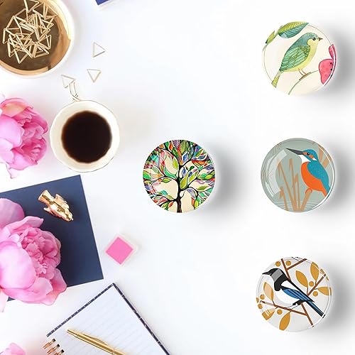 Miniatura 4 de 12 imanes de cristal para nevera, decoración de imanes de nevera de pájaro para manualidades, imanes de nevera fuertes para cocina, escuela
