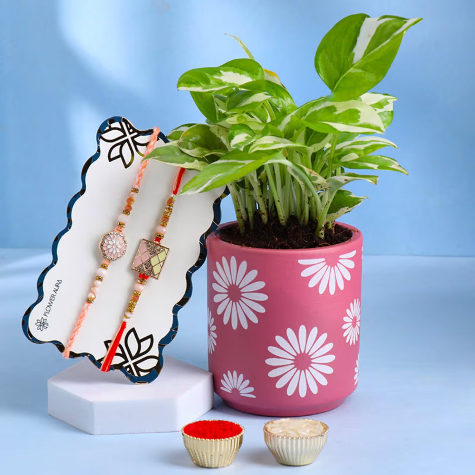 FlowerAura Raksha Bandhan Celebrations Set of 2 Pink Stone Studded Rakhi With White Pothos Plant In Terracotta Flower Pot - Rakhi for Brother, Bhaiya, Cousins & Raksha Bandhan Gift (B0DB8NH4T2) Amazon Price History, Amazon Price Tracker