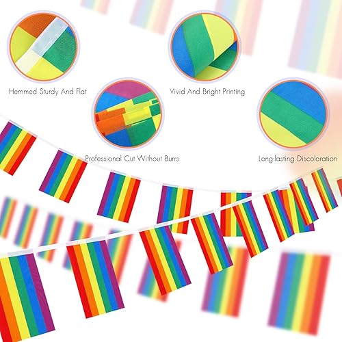 Miniatura 3 de Paquete de 4 banderas LGBTQ del orgullo del arco iris, banderas de cuerda del orgullo LGBTQ para festival del orgullo, carnaval, fiesta, día del