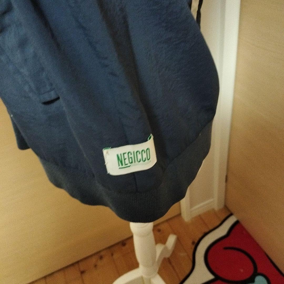 Negicco TOKYO CULTUART by BEAMS NegiA-1 Negicco結成20周年ライブが