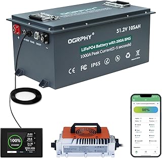 48V Lithium Golf Cart Battery with Touch Monitor
