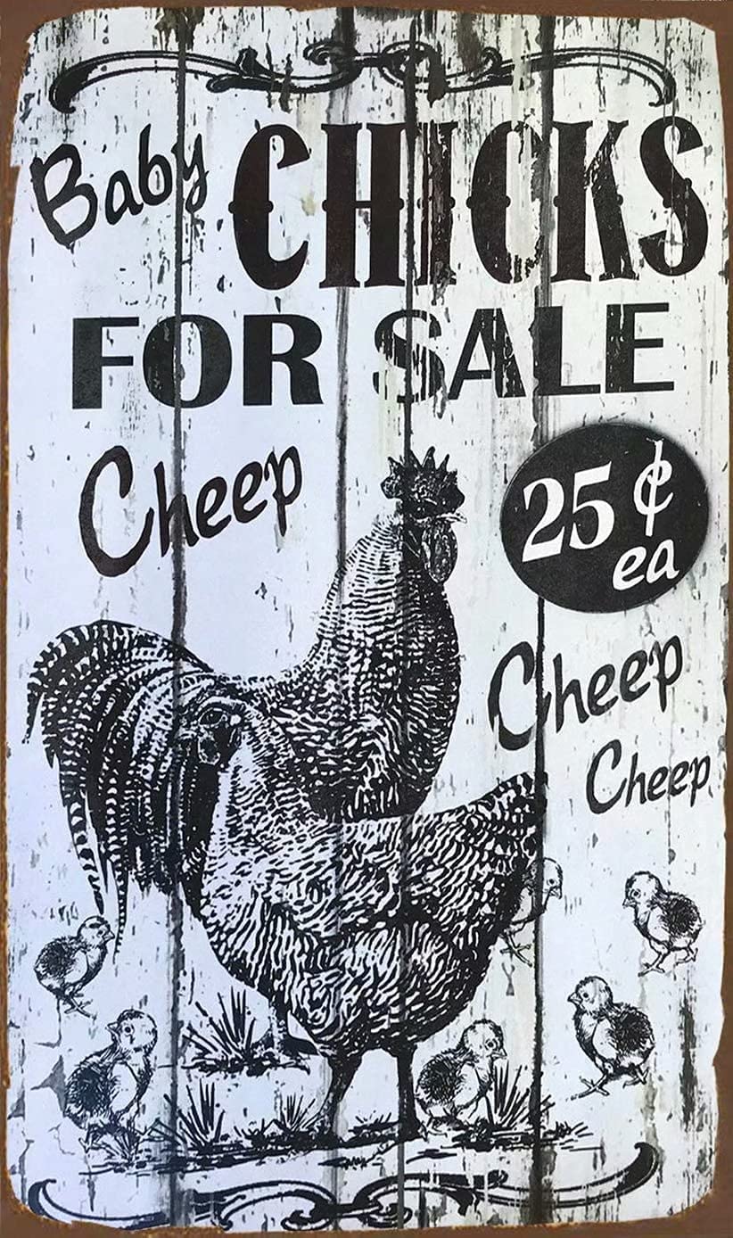 Metal Decor for Outside Baby Chicks Metal Sign Baby Chicks for Sale Retro Art Decoration for Farm Village Home Club Bar Cafe Farm Tin Sign Art Wall Metal Decor Funny Plaque Signs 8x12 inch