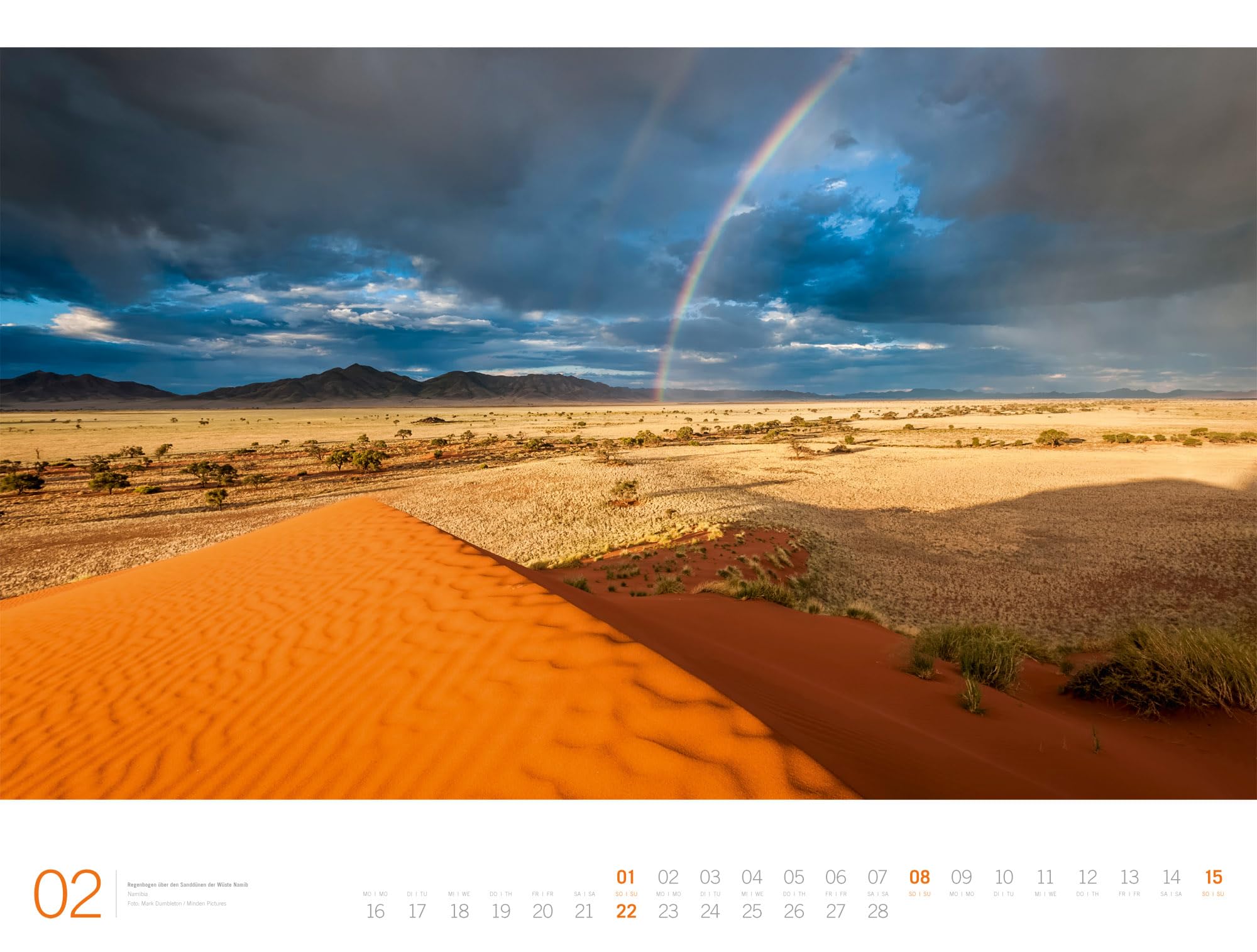 Afrika Gallery Kalender 2026: Bildgewaltiger Afrika-Kalender im großen Querformat (66x50 cm) | Tiere und Landschaft im Großformat