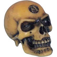 Alchemy The Vault Halloween Party Lapillus Worry Skull