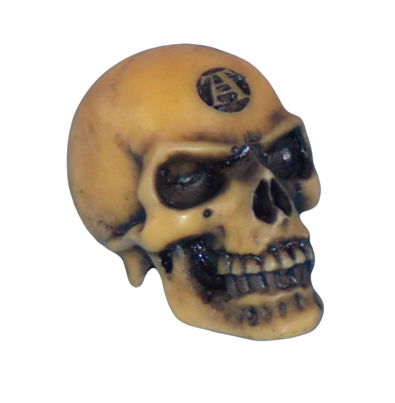 Alchemy Cream Gothic Lapillus Worry Skull