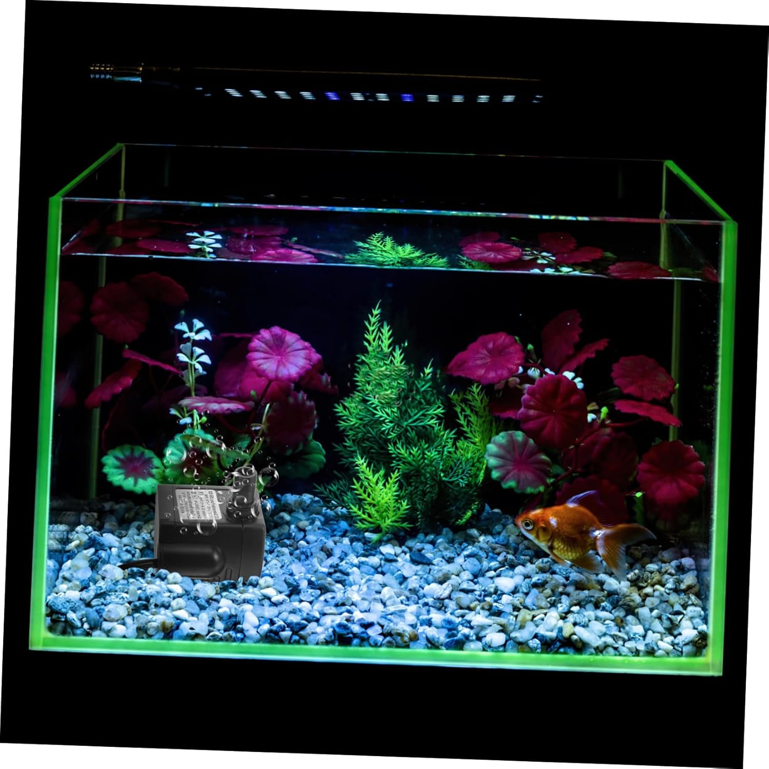 Sosoport 5pcs Portable Submersible Pump Electric Water Pump for Fountain Outdoor