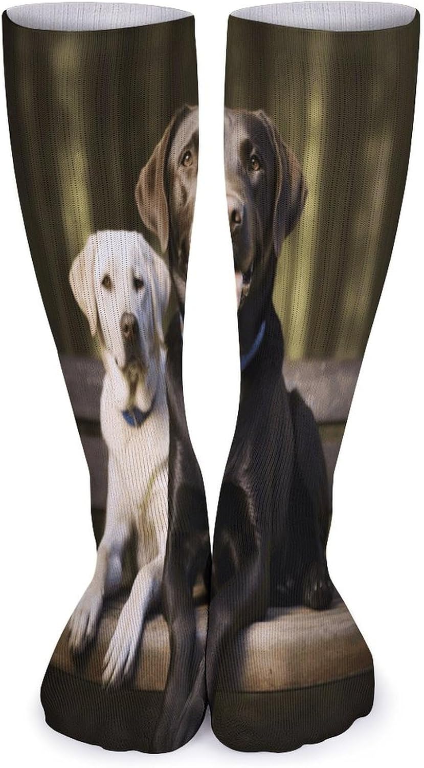 Labrador Crew Socks Cozy Casual Calf Socks Lightweight Long Work Sock Breathable Athletic Sock for Hiking Sports Running 5 Pairs