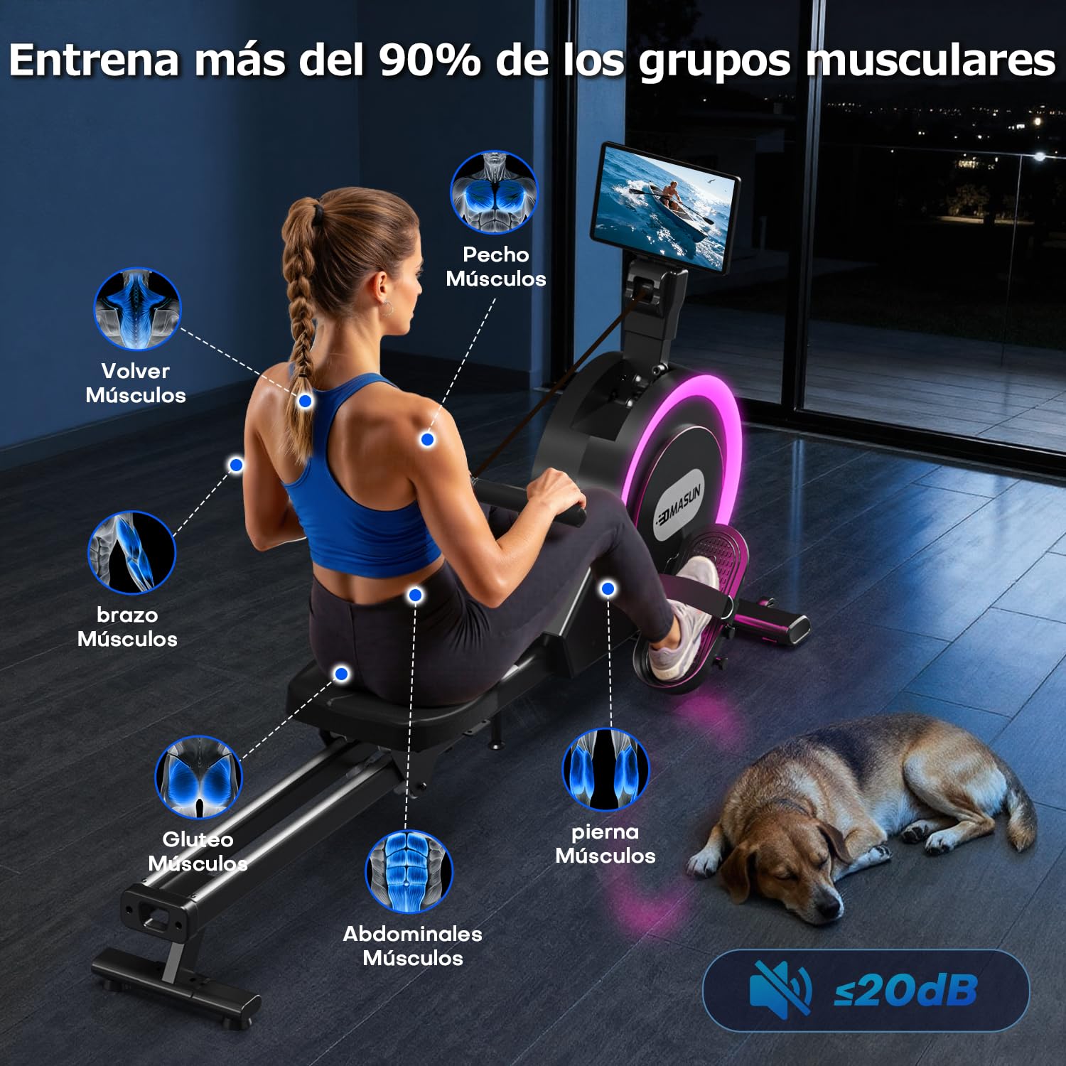 DMASUN Máquina de Remo para casa, Remo magnético con 32 Niveles de Resistencia silenciosa, rieles deslizantes Dobles mejorados, Capacidad de Peso de 160 kg, Compatible con App, indicador de luz