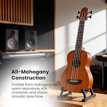 Nomad Acoustic-Electric UBASS