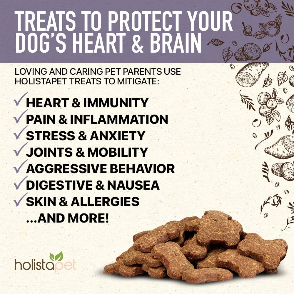 HolistaPet Hemp Dog Treats - Heart & Immune Care - 30 Crunchy Treats - 600mg - Made in USA - Powerful Relief with Hemp Oil Blueberries & Flaxseed - Supports Healthy Immune Response : Pet Supplies