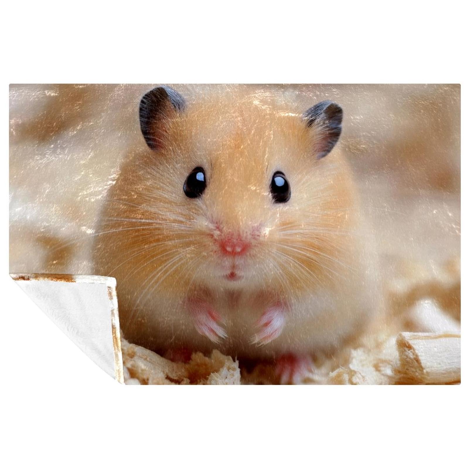 Couverture pour pique-nique et camping Clever Hamster portable et douce